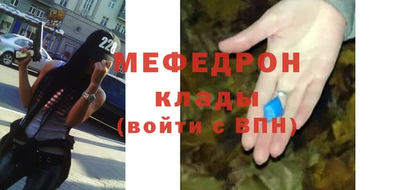 хмурый Аркадак