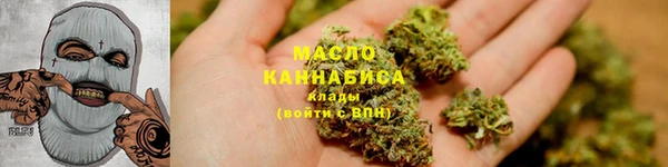 хмурый Аркадак