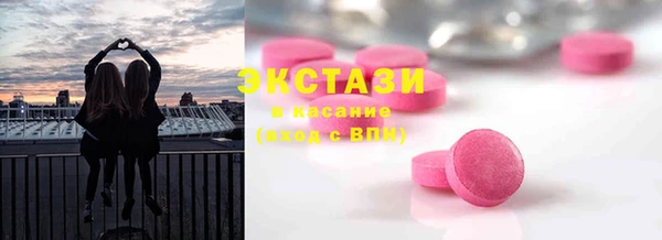 хмурый Аркадак