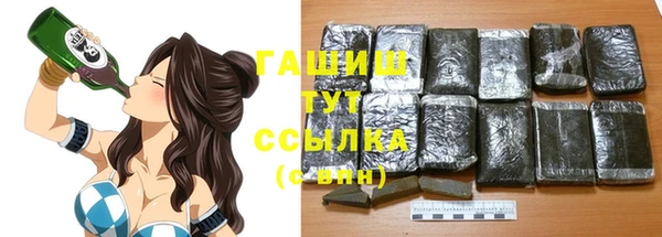 хмурый Аркадак